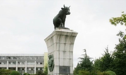 ѧţ