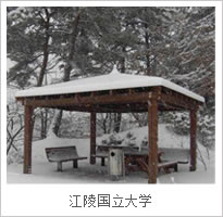 江陵大学