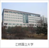江陵大学