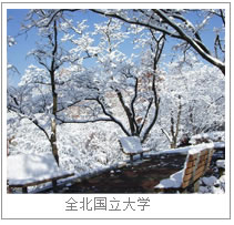 全北国立大学